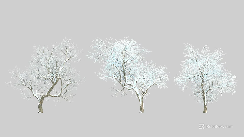 Three Snow Covered Arbor Trees Against Gray Background In Winter 3d model 