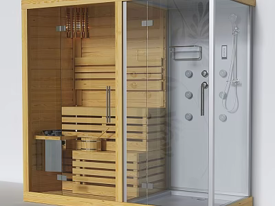 Modern Shower Sauna Interior With Wooden Structure Glass Door And Sauna Seats 3d model