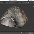 Tortoise Reptile Shell Featuring Natural Texture And Intricate Patterns Close Up