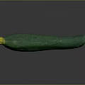 Fresh Green Cucumber With Yellow Blossom Bumpy Surface And Long Shape 3d model