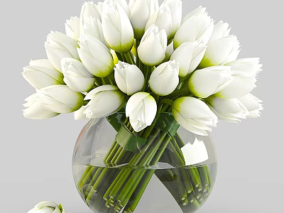 White Tulips Arrangement in Clear Glass Vase with Water and Fallen Bloom 3d model