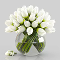 White Tulips Arrangement in Clear Glass Vase with Water and Fallen Bloom