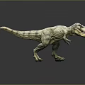 Realistic Tyrannosaurus Rex Dinosaur Model in Standing Posture With Sharp Teeth 3d model