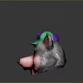 Cartoon Animal Character Head Wearing Purple Green Cap With Yellow G Letter