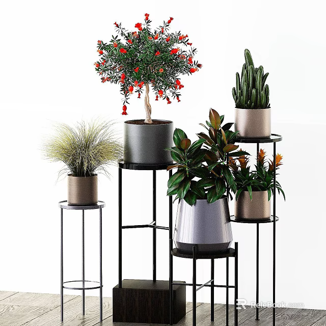 Various Potted Plants With Red Flowers Cactus And Green Leaves On Metal Stands 3d model 