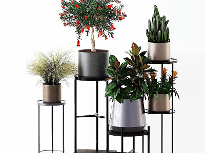 Various Potted Plants With Red Flowers Cactus And Green Leaves On Metal Stands 3d model