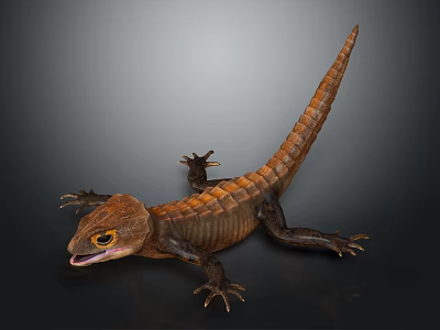 Detailed Realistic Brown Lizard With Long Tail Scales Open Mouth Yellow Eyes On Dark Background 3d model