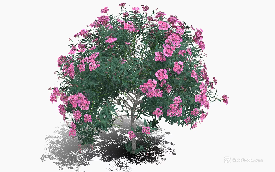 Pink Flower Tree With Edible Blossoms For Fresh Culinary Ingredients And Recipes 3d model 