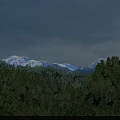 Aerial View Landscape Planning With Lush Forests Snowy Mountains And Flying Birds