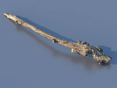 Natural Textured Dry Wooden Branch With Knotty Surface For Decorative Use 3d model