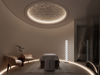 The quiet SPA simulation beauty room 3d model