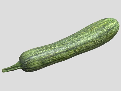 Fresh Green Striped Zucchini Healthy Organic Vegetable for Nutritious Recipes 3d model
