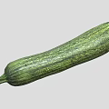 Fresh Green Striped Zucchini Healthy Organic Vegetable for Nutritious Recipes