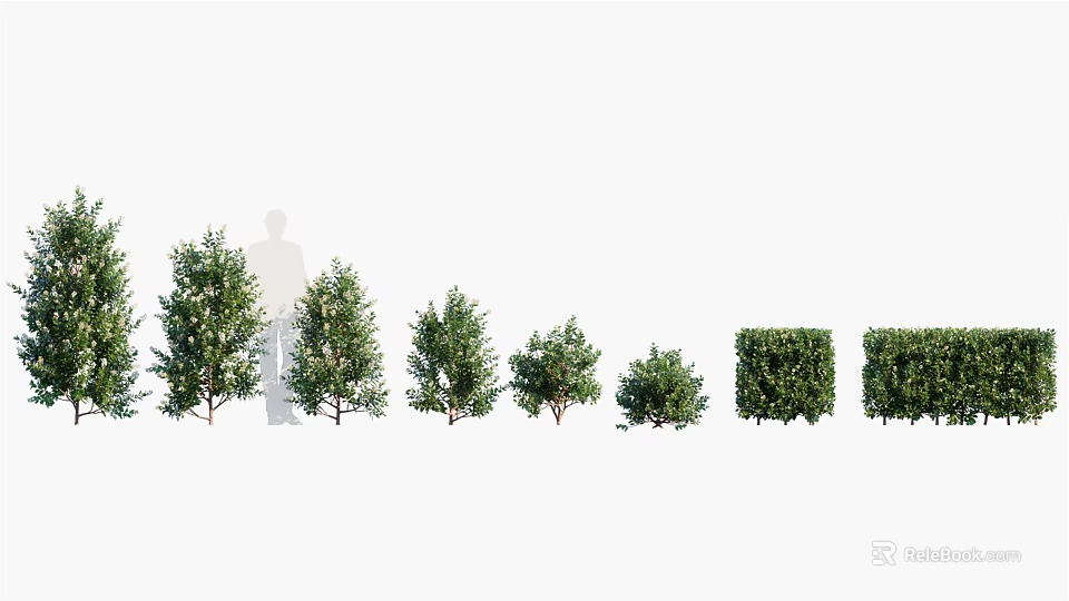 Diverse Garden Shrubs In Various Sizes And Shaped Forms For Landscaping 3d model