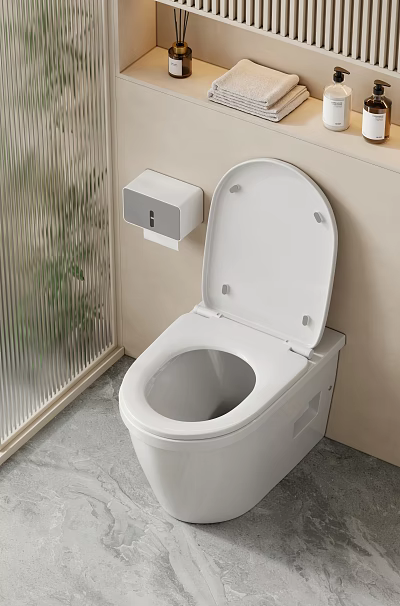 Modern Elegant Soft Toned Bathroom Equipped With Smart Toilet And Wall Mounted Tissue Box 3d model