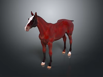 Chestnut Red Horse With White Face And Hooves Standing On Gray Background 3d model