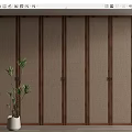 Modern Wooden Wardrobe Design With Panel Doors And Indoor Plant In Home Interior