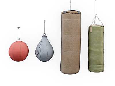 Sports Equipment Hanging Punching Bags with Various Types Different Shapes and Colors 3d model