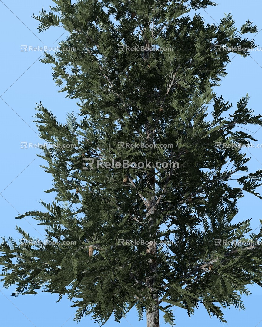 Modern Tree Pine Needle Fir Tree 3d model