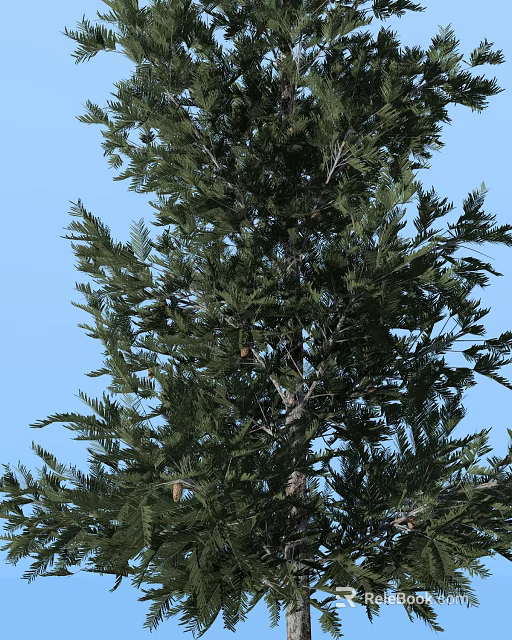 Tall Arbor With Lush Green Foliage And Thick Trunk Against Blue Sky Background 3d model 