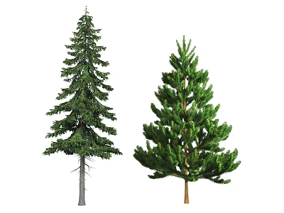Modern Tree Sprout Tree Pine Tower 3d model