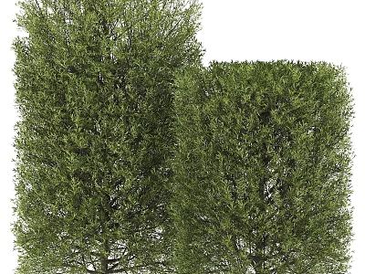 Well Trimmed Green Garden Topiary Shrubs With Lush Foliage For Outdoor Decor 3d model
