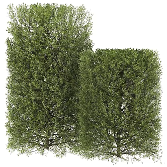 Modern Gardening Sketch Bush Fence Landscape Garden 3d model