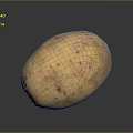Fresh Organic Potato A Healthy Nutritious Ingredient For Daily Cooking Meals