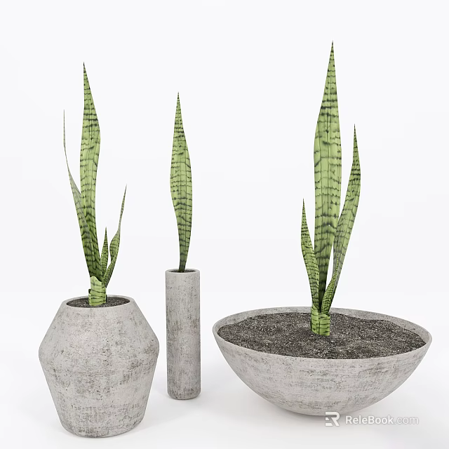 Long Green Striped Leaf Potted Plants in Different Shaped Gray Concrete Planters for Home Decor 3d model 