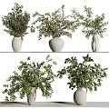 Stylish Potted Bonsai Plants With Unique Shaped White Ceramic Pots And Lush Green Leaves