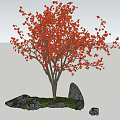 Vibrant Red Leaf Shrub Surrounded by Stones and Green Grass under Blue Sky