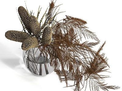 Decorative Ornament Set With Clear Glass Vase And Brown Banksia Fern Dried Flowers 3d model
