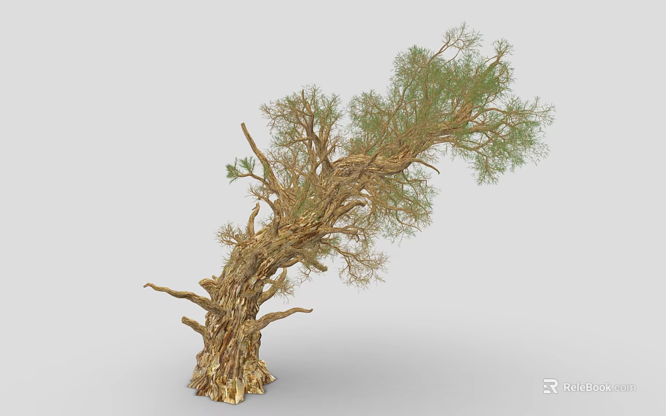 Natural Plant Tree with Curved Trunk Rough Bark and Lush Green Foliage 3d model 