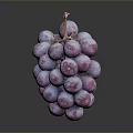 Fresh Juicy Purple Grapes with Water Drops on Dark Background