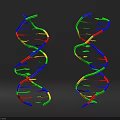 Colorful DNA Double Helix Organizational System With Molecular Strands And Components