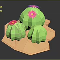 Low Poly Green Cactus Plants With Pink Flowers On Geometric Base