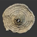 Decorative Shell Shaped Home Decor With Woven Texture Gemstone And Pearl Accents