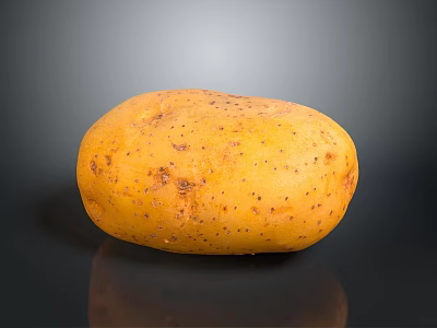 Fresh Single Yellow Potato with Brown Spots on Black Background 3d model
