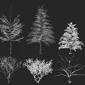 Various Arbor Tree Varieties With Bare Branches and Snowy Foliage 3d model