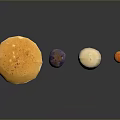 Vibrant Mushroom Collection with Diverse Shapes and Colorful Caps on Dark Background