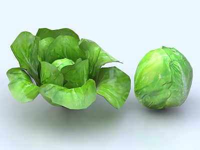Two Fresh Green Cabbages Featuring Loose Leaves and Compact Round Shape 3d model
