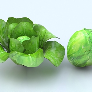 Lettuce Vegetables Cabbage 3d model