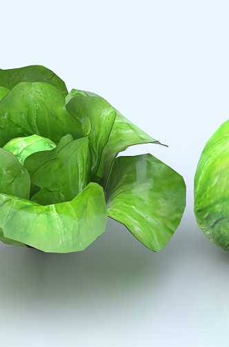 Lettuce Vegetables Cabbage 3d model