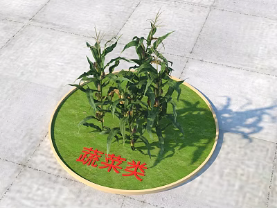 Fresh Corn Plants Growing On Circular Green Mat Over Stone Pavement 3d model