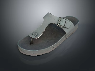 Slippers Sandals Beach Shoes Bubble Shoes Cave Shoes Realistic 3d model