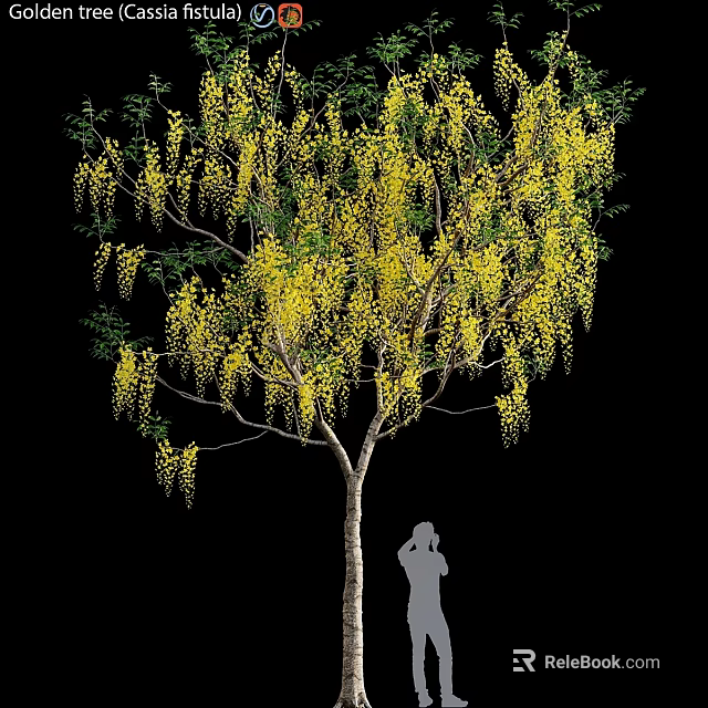 Vibrant Yellow Flowering Tree Garden Feature with Hanging Blossoms and Silhouette Figure 3d model 