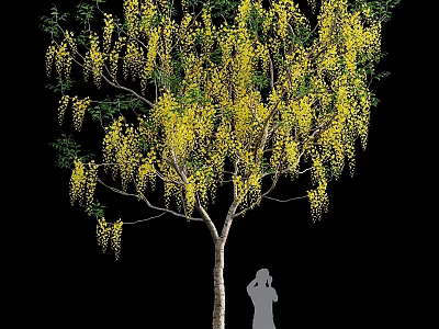 Vibrant Yellow Flowering Tree Garden Feature with Hanging Blossoms and Silhouette Figure 3d model