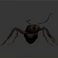 3D Rendered Brown Ant With Detailed Body Structure Legs And Antennae On Grey Background