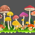 Colorful Mushroom Plant Combination in Green Grass with Various Shapes and Bright Hues