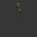 3D Rendered Thistle Plant With Two Buds Green Stem On Dark Background
